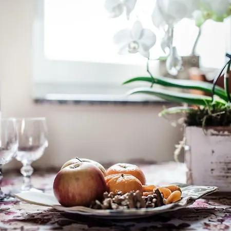 Boroniowka Nad Jeziorem Czorsztynskim Falsztyn